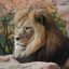 Reviewer profile photo of James R. from New Jersey