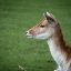 Reviewer profile photo of Sandra M. from Michigan